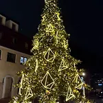 Diva Prywatny Z Tarasem * Kolobřeh